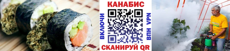 дарнет шоп  Карабаш  Canna-Cookies марихуана 