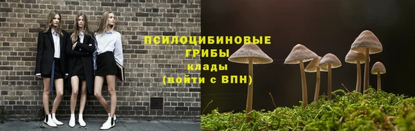 гашик Алзамай