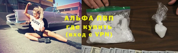стафф Алексин