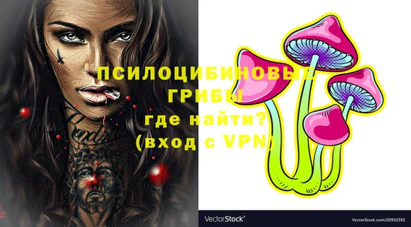 гашик Алзамай