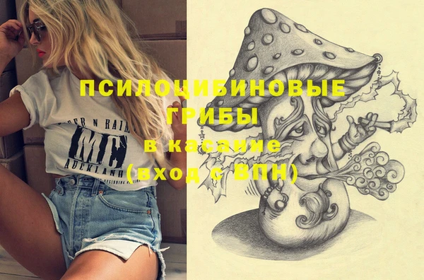 гашик Алзамай