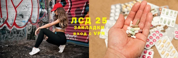 гашик Алзамай